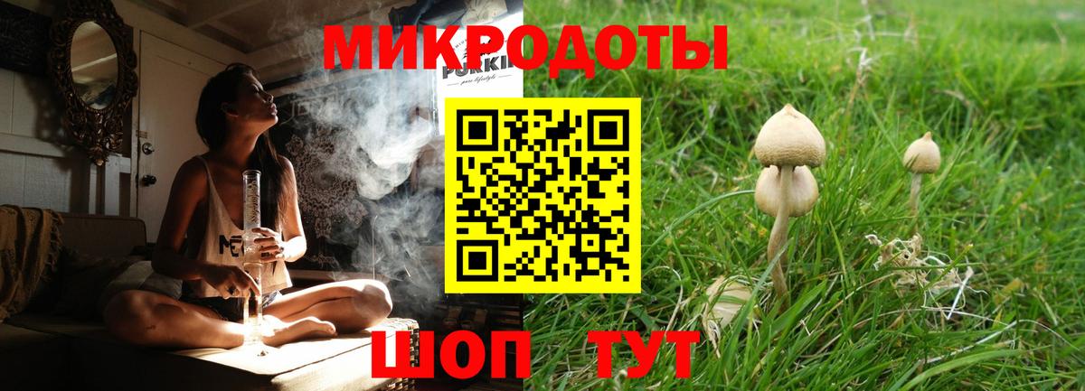 Галлюциногенные грибы Magic Shrooms  Вход с VPN  Псилоцибиновые грибы MAGIC MUSHROOMS  Ессентуки 