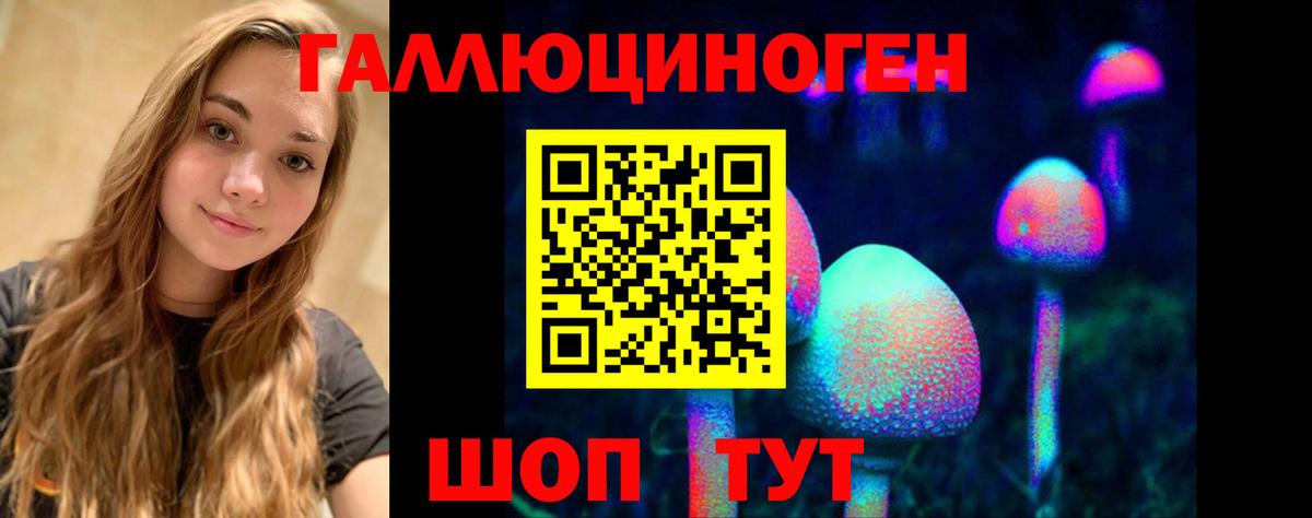 Галлюциногенные грибы мухоморы Ессентуки